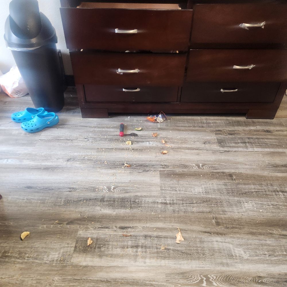 The Argyle - Food and Utensils on the floor.. - Assisted Living Facilities Near Me - Denver, Colorado The Argyle - Food and Utensils on the floor.. - Assisted Living Facilities Near Me - Denver, Colorado
