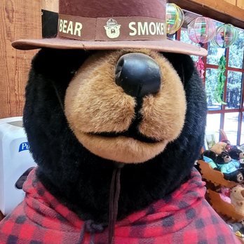 McArthur Burney Falls State Park - Cute bear inside store - Hiking Near Me - Burney, California McArthur Burney Falls State Park - Cute bear inside store - Hiking Near Me - Burney, California