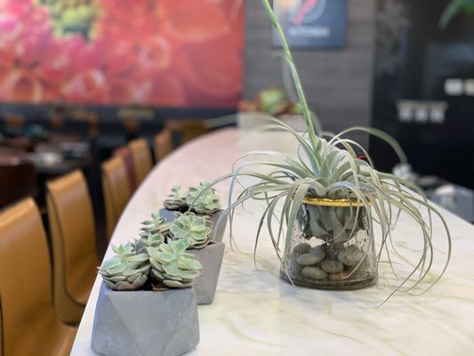 District Seven Kitchen by null
