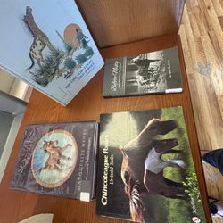 Island Library - Many Pony books