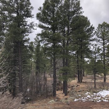 The Grove  - Sinclair Trail! - Apartments Near Me - Flagstaff, Arizona