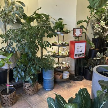 REWILD Capitol Hill - Nurseries & Gardening Near Me - Washington, DC, District of Columbia