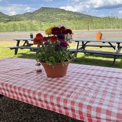 Tony's Italian Kitchen - The view