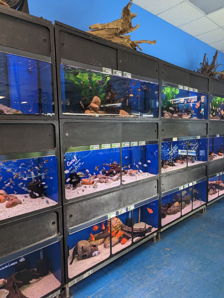 FINATICS AQUARIUM Updated September 2024 27 Photos 6200 Dixie