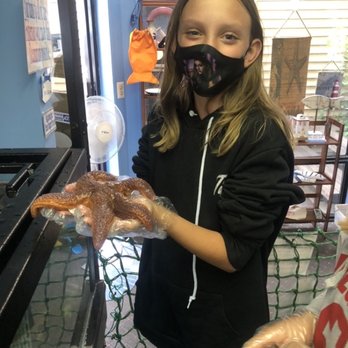Explore the Ocean World - Aquariums Near Me - Hampton, New Hampshire