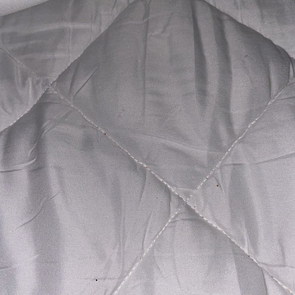 Rodeway Inn - Crumbs on the mattress pad - Hotels Near Me - Barstow, California