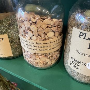 Bloodroot Herb Shop - Some of the many jars of dried herbs available for purchase by the ounce. At the time of this photo all herbs were $6 an ounce. - Herbal Shops Near Me - Ypsilanti, Michigan