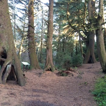 Beverly Beach State Park - Parks Near Me - Newport, Oregon