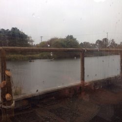 View from our table
