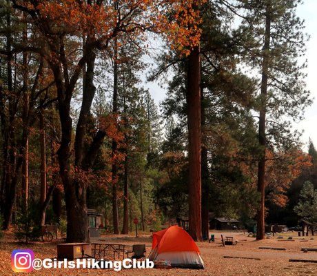 Wawona Campground by null
