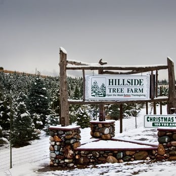 Hillside Tree Farm - Christmas Trees Near Me - Camino, California Hillside Tree Farm - Christmas Trees Near Me - Camino, California