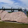 Photo of Ronald Rae Sculptures