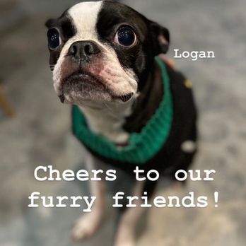 Subculture Artisan Ales - They got a good pic of our pup for Instagram! - Breweries Near Me - Florence, New Jersey
