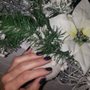 Photo of Nails by Janet