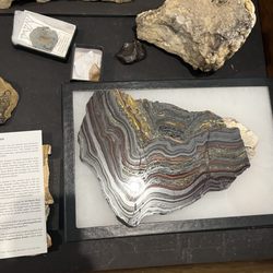 Southern Minnesota Museum of Natural History