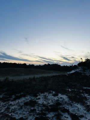 Island Beach State Park by null