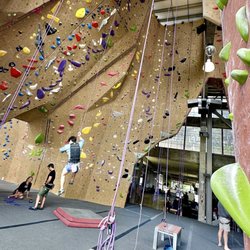 Movement - San Francisco - Movement - San Francisco, Sunday, April 26, 2026. This far surpasses the Mission District rock climbing venue.