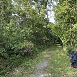 Buckhorn Island State Park
