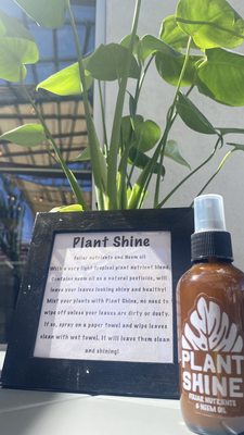 Menu photo 5 Ocean Beach Coffee and plants San Diego, CA Menu photo 5 Ocean Beach Coffee and plants San Diego, CA