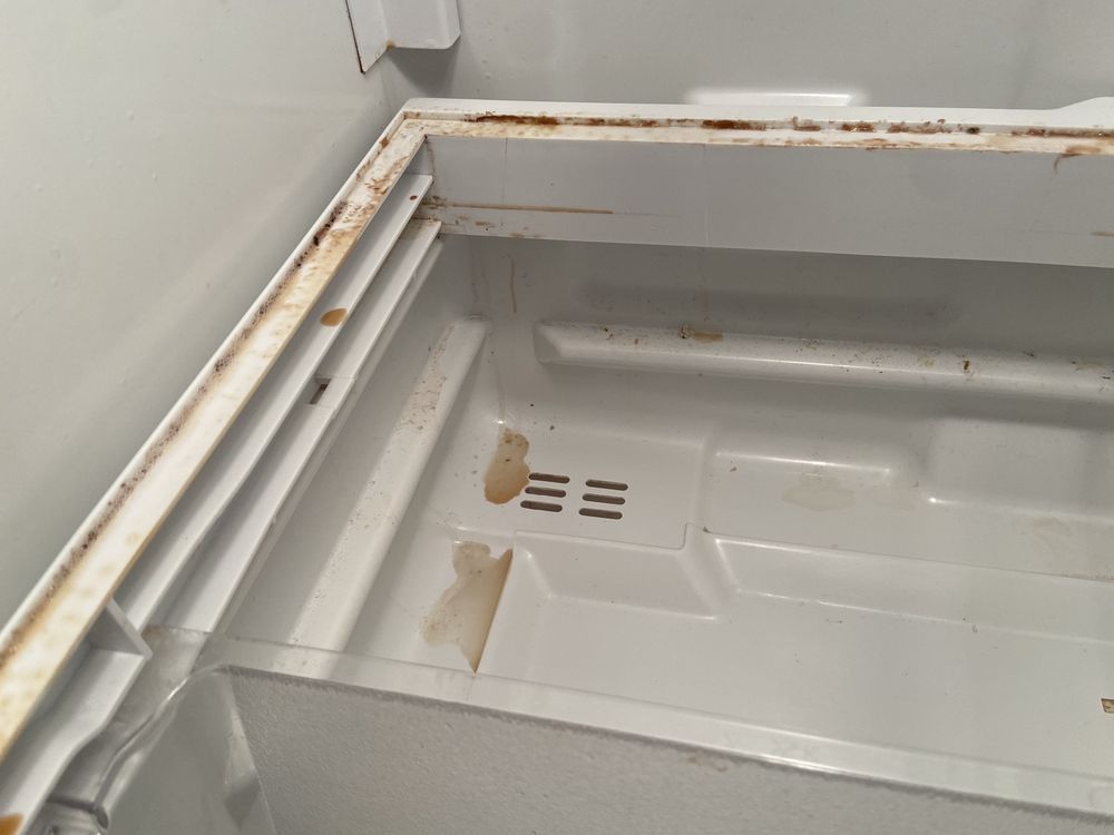 DAUM APPLIANCE & TV Updated August 2024 109 W Main St, Peotone