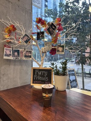 Philz Coffee by null