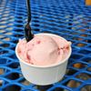 Kettle Cove Creamery and Shack gift card