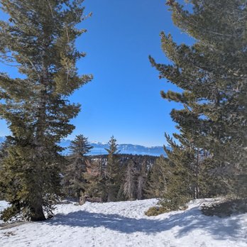 Tahoe Meadows - view of lake - Parks Near Me