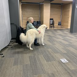 Lawrence Public Library - Such a versatile library. This is a dog training class in the auditorium. Love it!!