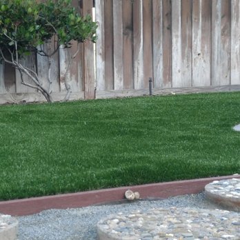 Biltright Turf - Yes, mushrooms are growing under the lawn. Not so maintenance free! - Landscaping Near Me Biltright Turf - Yes, mushrooms are growing under the lawn. Not so maintenance free! - Landscaping Near Me