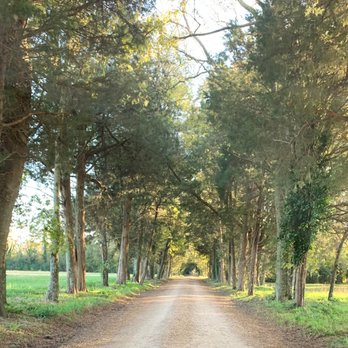 Berkeley Plantation - Landmarks & Historical Buildings Near Me - Charles City, Virginia