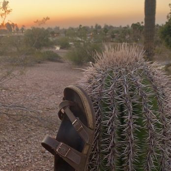 Trulieve Tempe Dispensary - Pad Thai - Cannabis Dispensaries Near Me - Tempe, Arizona