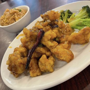 J J Garden - General Tso's Chicken with fried rice - Chinese Near Me - Jackson Hts, New York J J Garden - General Tso's Chicken with fried rice - Chinese Near Me - Jackson Hts, New York