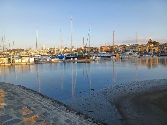 The Wave Organ by null