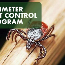 Greens Master Lawn and Pest Control