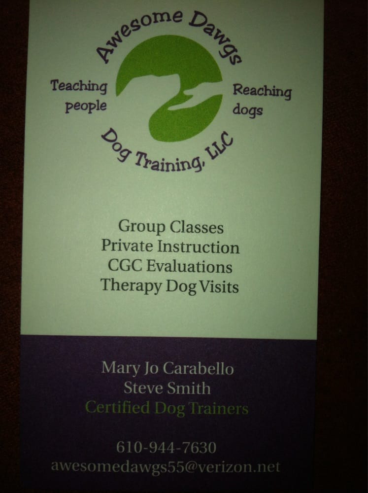 Awesome Dawgs Dog Training Image