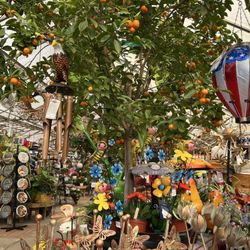 Bayport Flower Houses