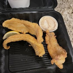 Catfish