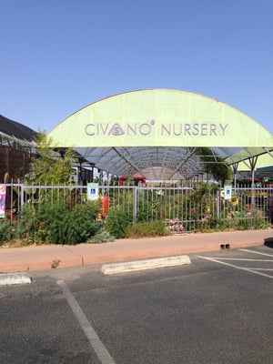 Civano Nursery - Retail Location by null