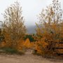 Pingree Park Campus Colorado State