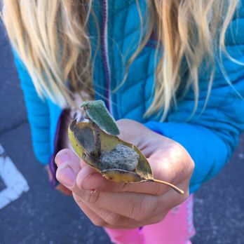 Trabuco Elementary School - Creating art in nature - Elementary Schools Near Me - Trabuco Canyon, California
