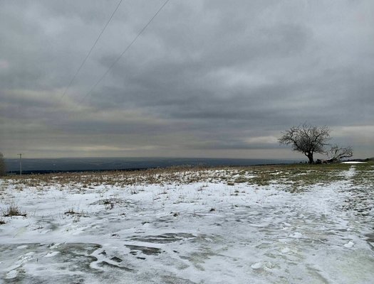 Finger Lakes National Forest by null