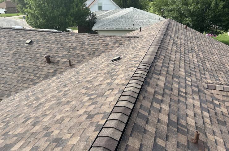 Slide of The Roof Guy