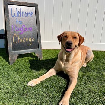 THE DOG RANCH AT LIBERTY HILL - Updated December 2024 - 30 Photos 