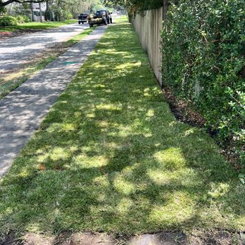 CRR Maintenance Services - After Sod installation - Lawn Services Near Me