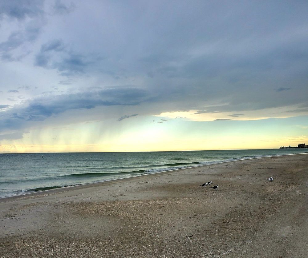 John's Pass Park Image