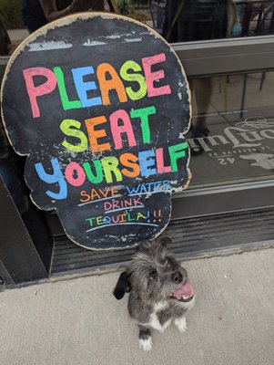 Tacos and Tequila by null