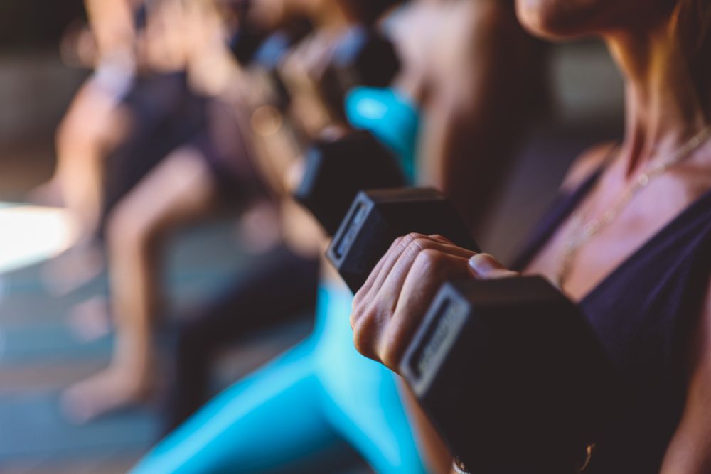 Yoga Under The Palms - Kaka'ako Logo