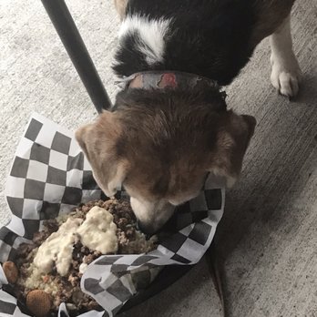 Pacific Yard House - Abby's not picky today. Good work chef !!! - Bars Near Me - Conroe, Texas Pacific Yard House - Abby's not picky today. Good work chef !!! - Bars Near Me - Conroe, Texas