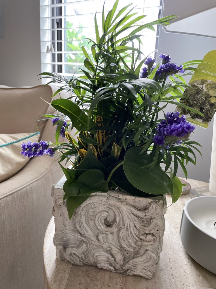 JOSEY’S POSEYS FLORIST Updated September 2024 15 Photos & 18