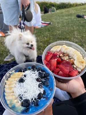 Verve Bowls - Capitol Hill by null